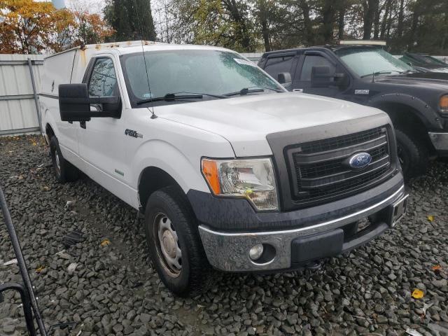 2013 FORD F150 - 1FTPF1ET2DKF56827