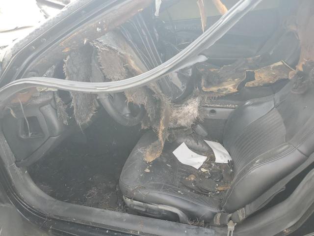 2003 CHEVROLET CORVETTE Z06 #3290327946