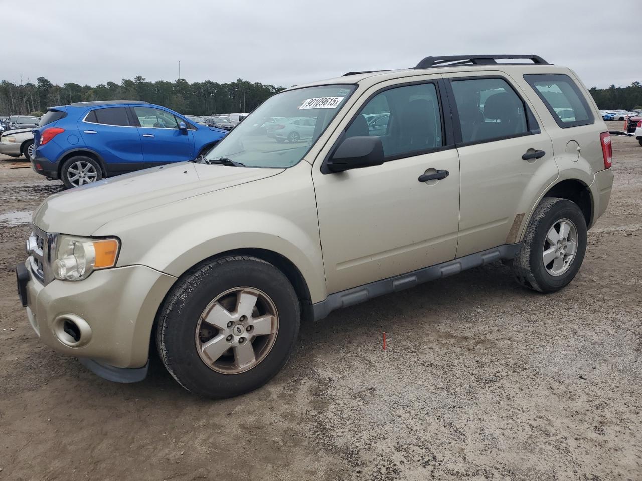 FORD ESCAPE XLS