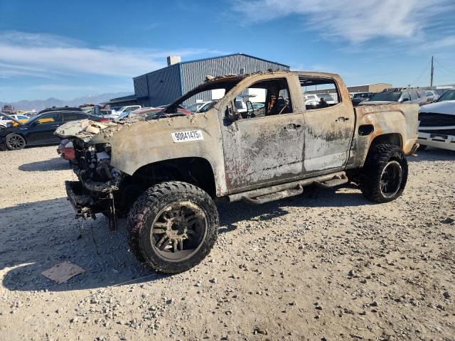 2019 GMC CANYON ALL 1GTP6FE17K1166773