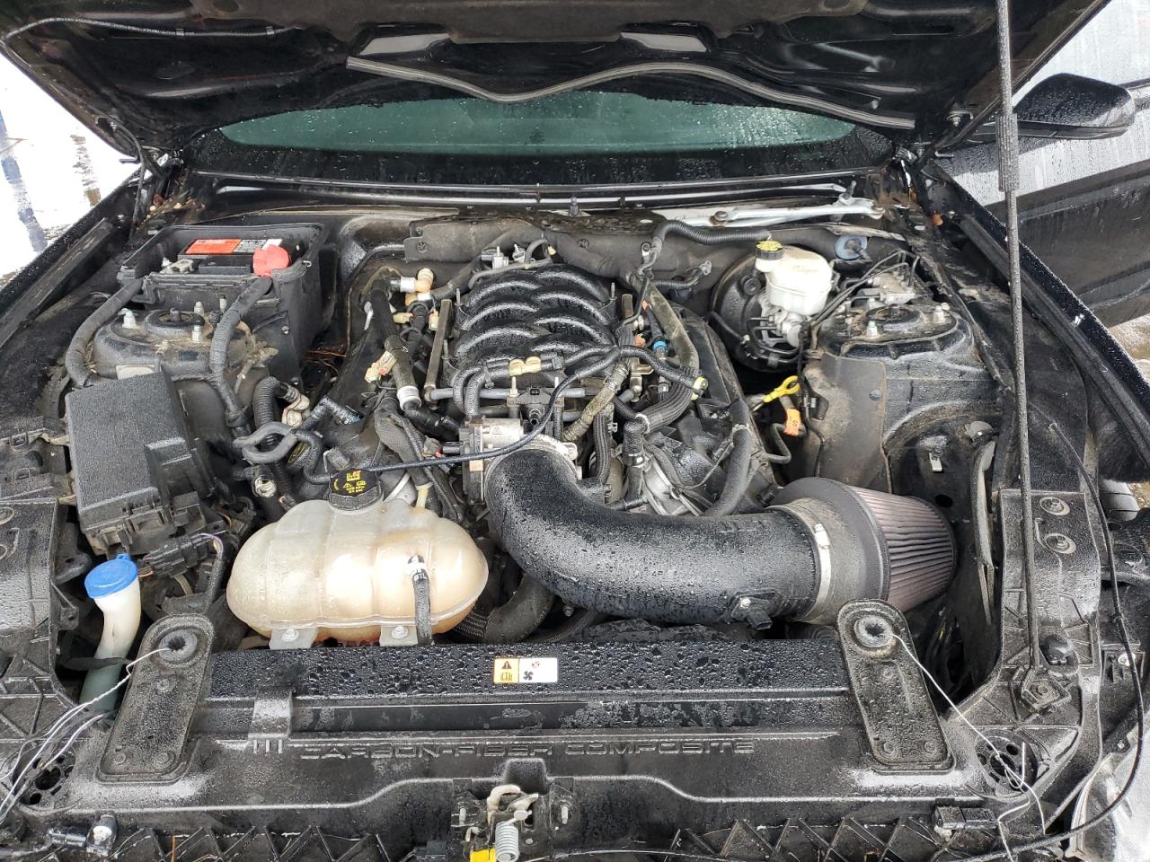 FORD MUSTANG SHELBY GT350