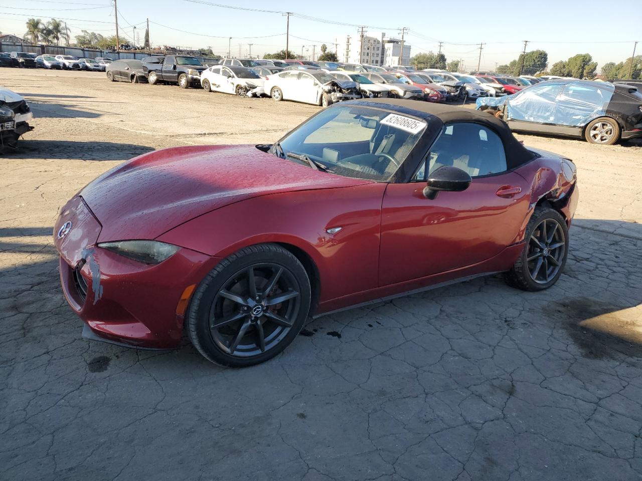 MAZDA MX-5 CLUB