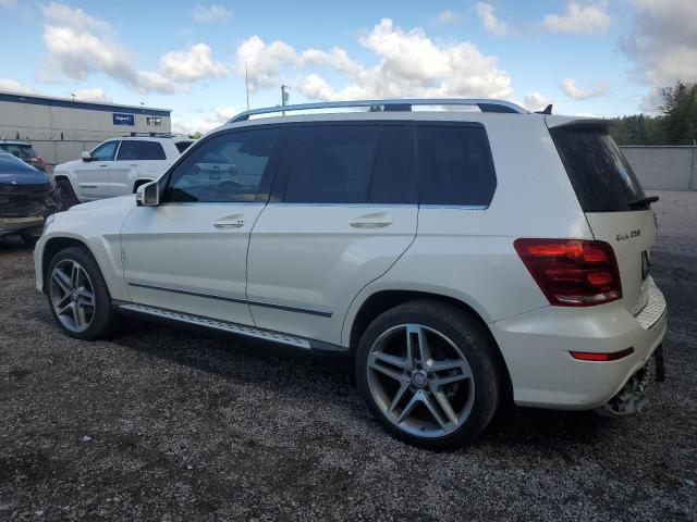 2014 MERCEDES-BENZ GLK 250 BL - WDCGG0EB7EG190392
