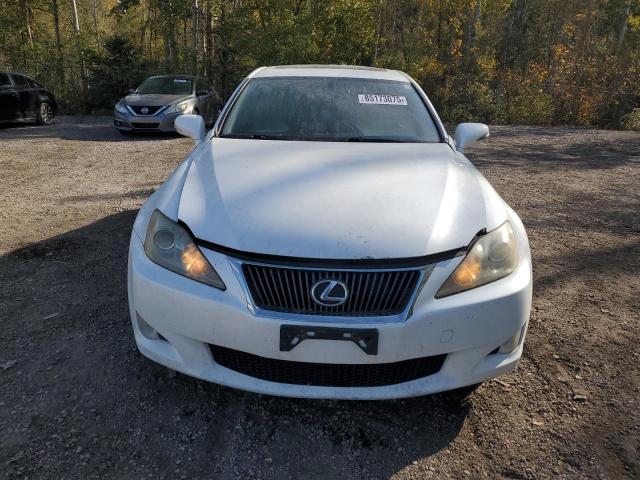 2010 LEXUS IS 250 - JTHCF5C29A5040778