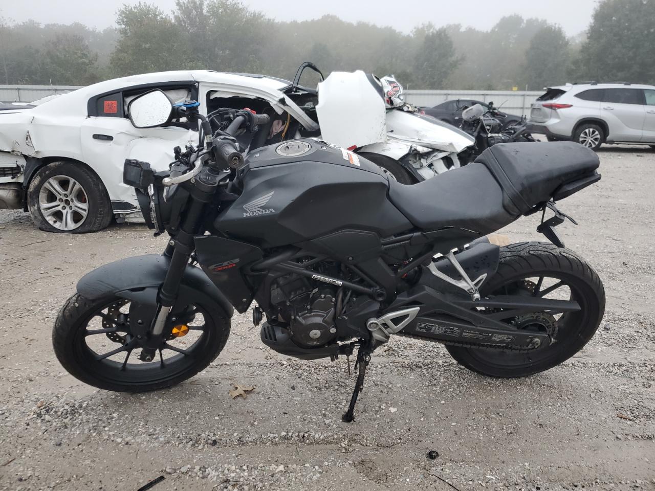 Lot #3278789653 2024 HONDA CBF300 NA