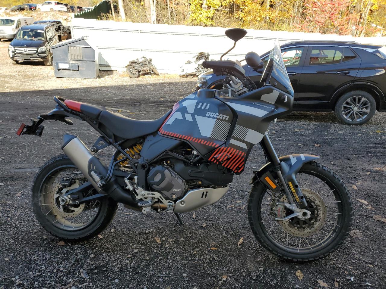 Lot #3291304451 2024 DUCATI DESERT X