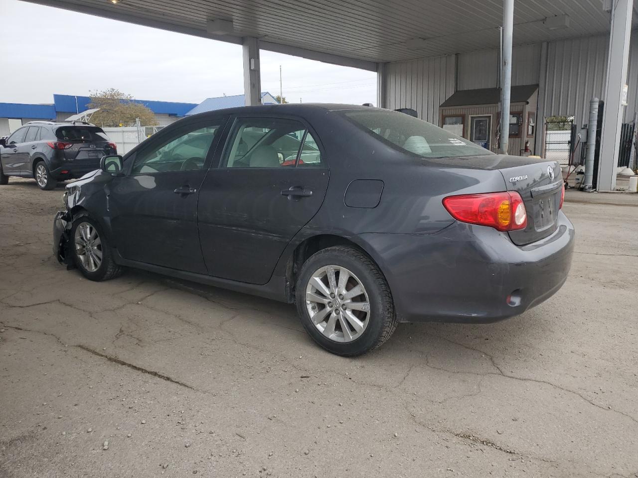 Lot #3266053318 2009 TOYOTA COROLLA