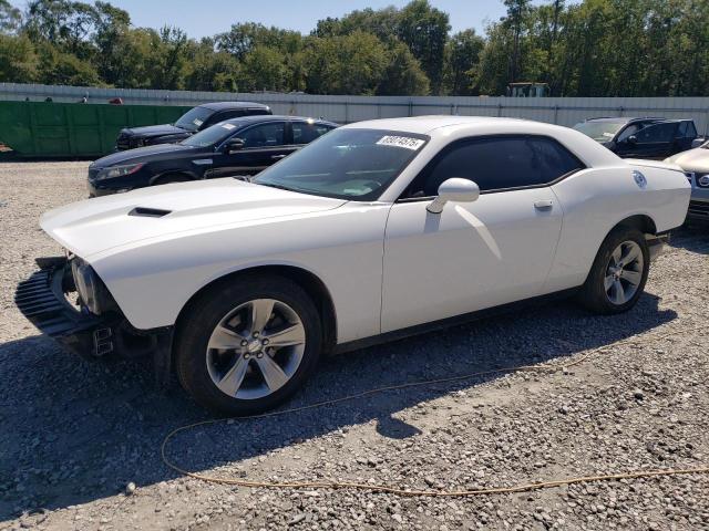 Global Auto Auctions: 2019 DODGE CHALLENGER SXT