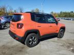 Lot #3311461374 2019 JEEP RENEGADE TRAILHAWK