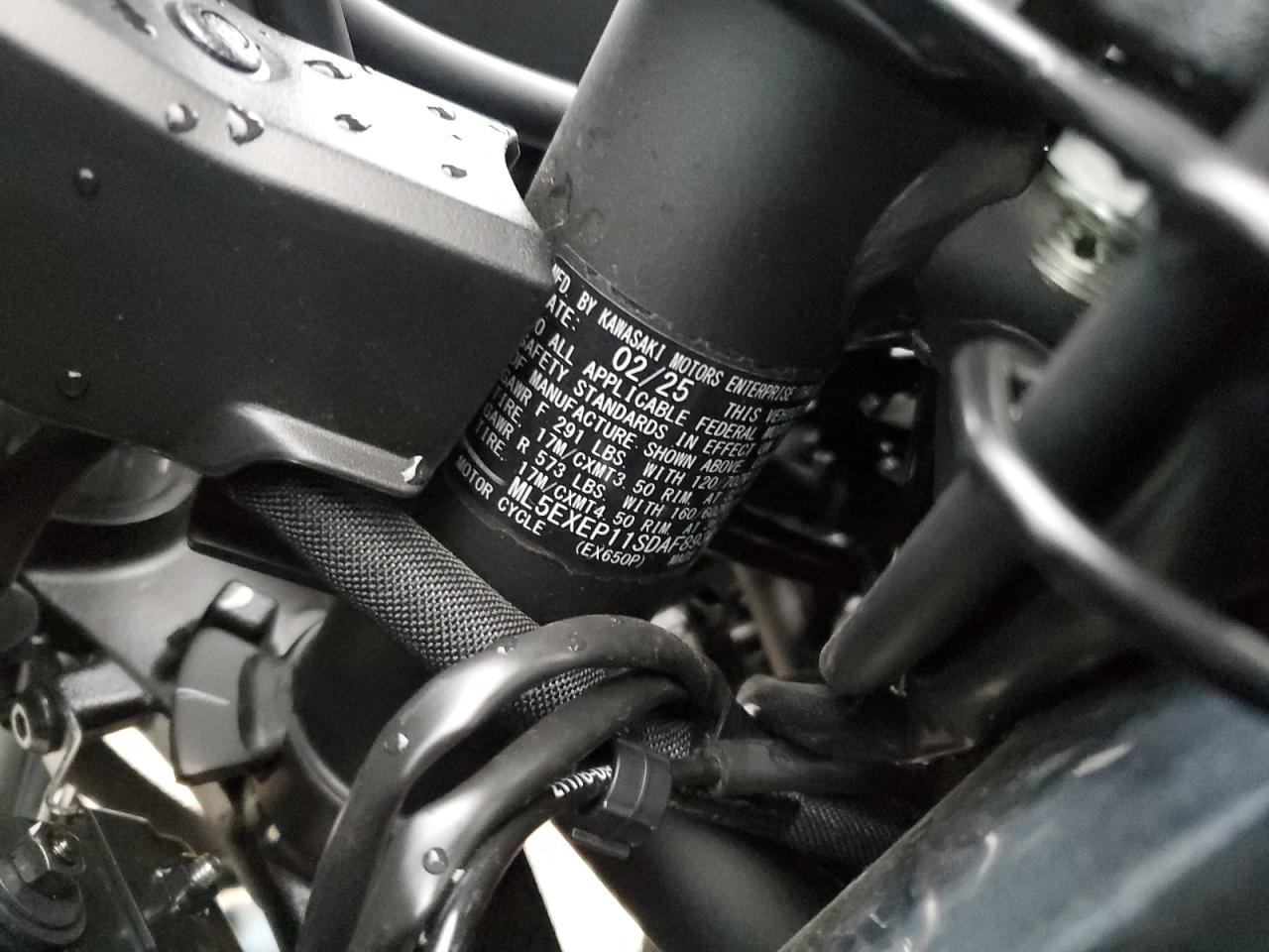 Lot #3286665290 2025 KAWASAKI EX650 P