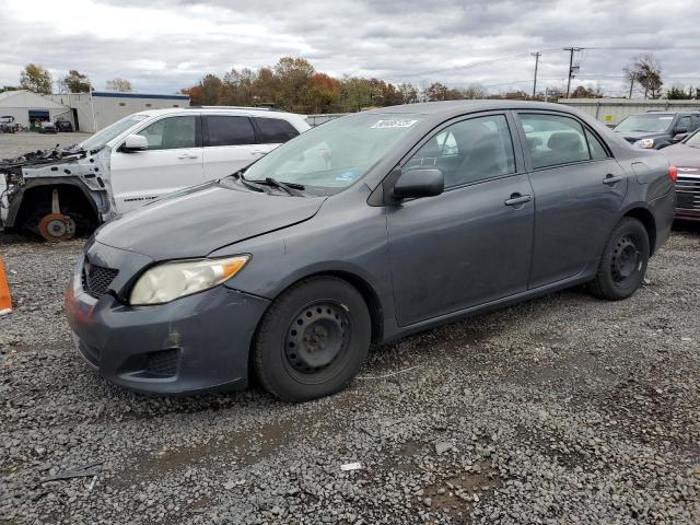 2010 TOYOTA COROLLA BA - 2T1BU4EE9AC317369