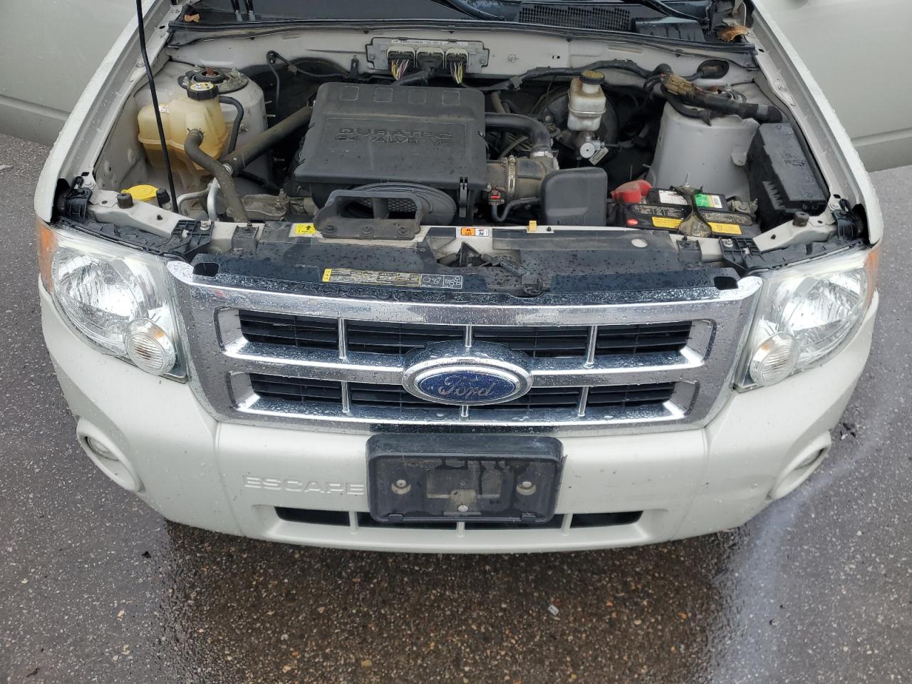 Lot #3283988851 2009 FORD ESCAPE XLT