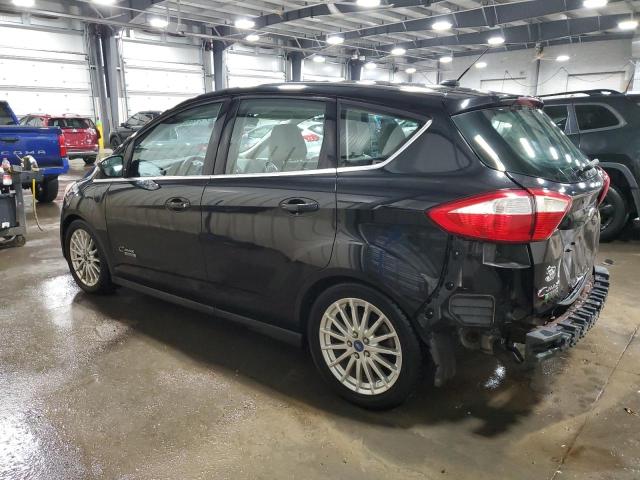 2013 FORD C-MAX PREM - 1FADP5CU0DL545196