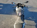 Lot #3293466441 2024 SUZUKI GSX800 F