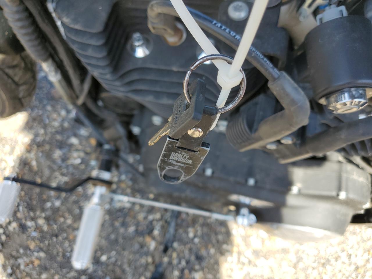 Lot #3311640236 2020 HARLEY-DAVIDSON XL883 N