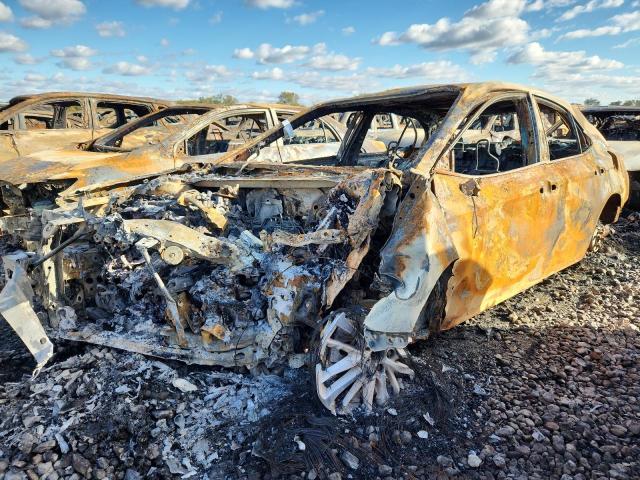 Global Auto Auctions: 2019 TOYOTA CAMRY XSE