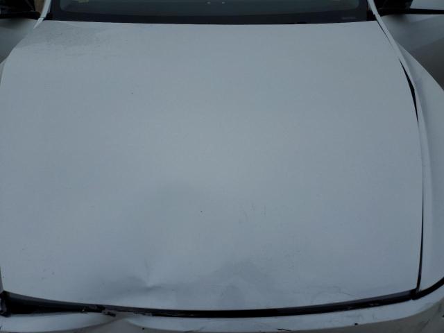 2026 TESLA MODEL Y #3305375312