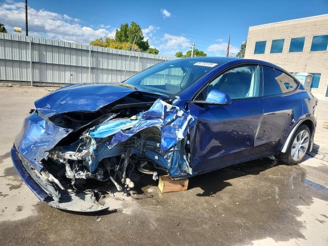 Global Auto Auctions: 2022 TESLA MODEL Y