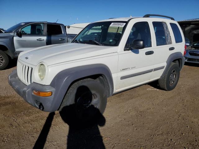 Global Auto Auctions: 2002 JEEP LIBERTY