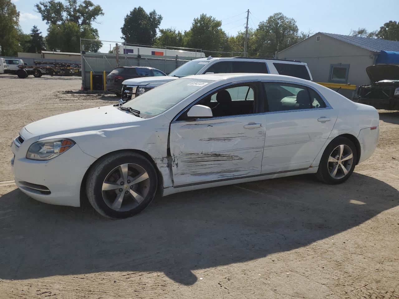 CHEVROLET MALIBU 1LT