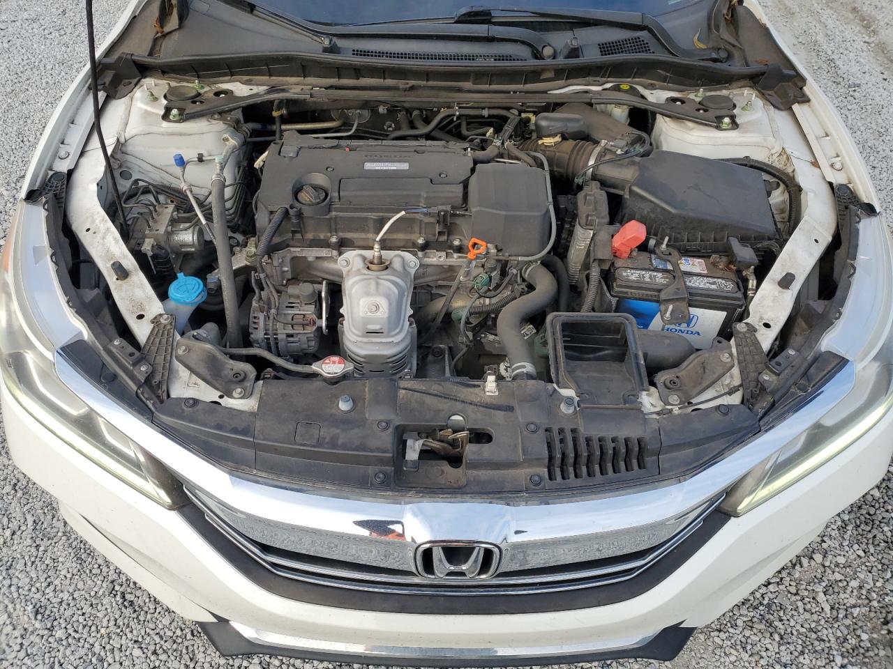 HONDA ACCORD SPORT SPECIAL EDITION