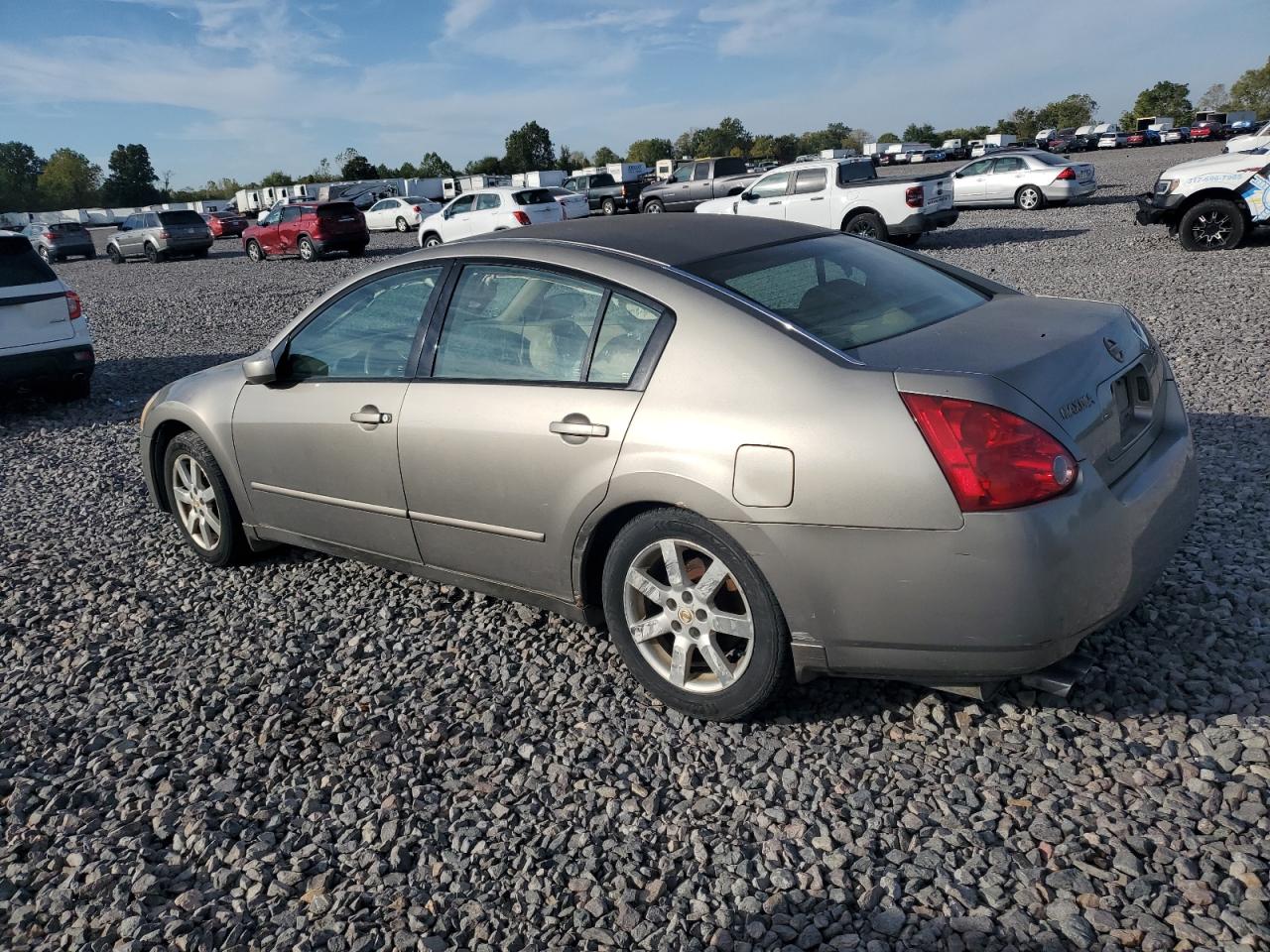 Lot #3264497407 2004 NISSAN MAXIMA SE