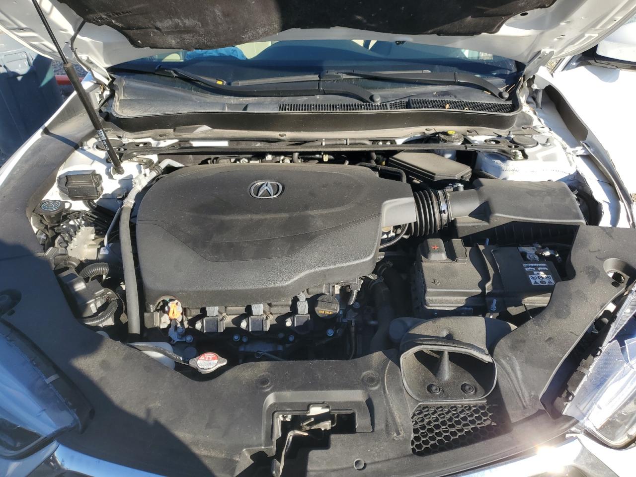 Lot #3307677075 2020 ACURA TLX TECHNO