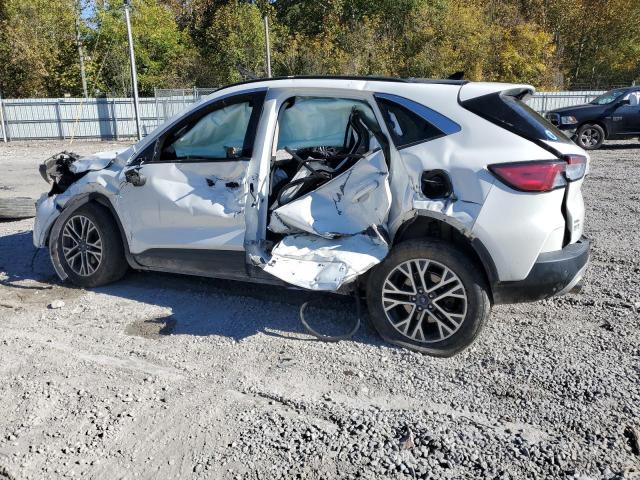 2020 FORD ESCAPE SEL #3294464496