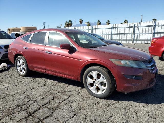 2010 HONDA ACCORD CRO - 5J6TF2H50AL008083