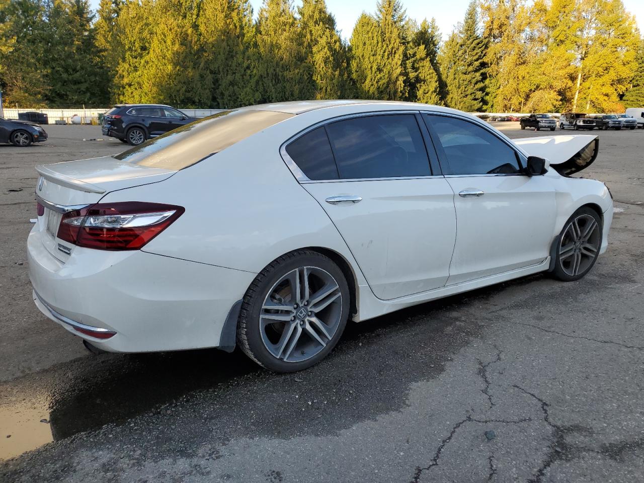 HONDA ACCORD SPORT SPECIAL EDITION