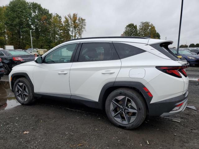 2025 HYUNDAI TUCSON SEL 3KMJB3DE8SE023667