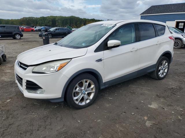 Global Auto Auctions: 2013 FORD ESCAPE SEL