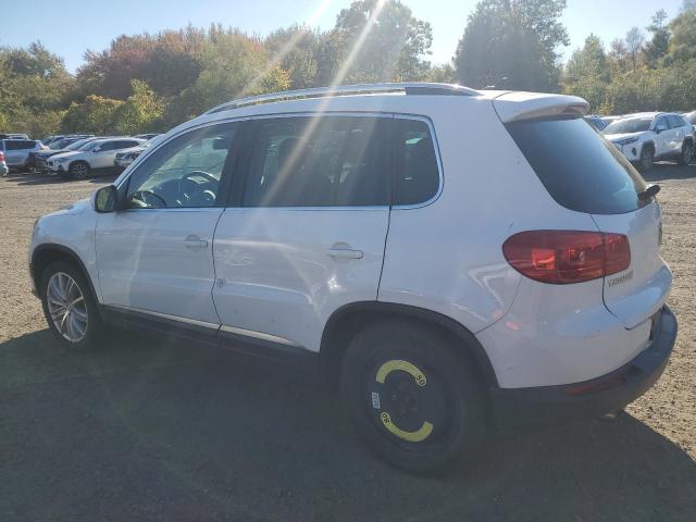 2013 VOLKSWAGEN TIGUAN S - WVGBV7AX8DW549720