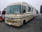 Lot #3292529676 1996 BNDR MOTORHOME