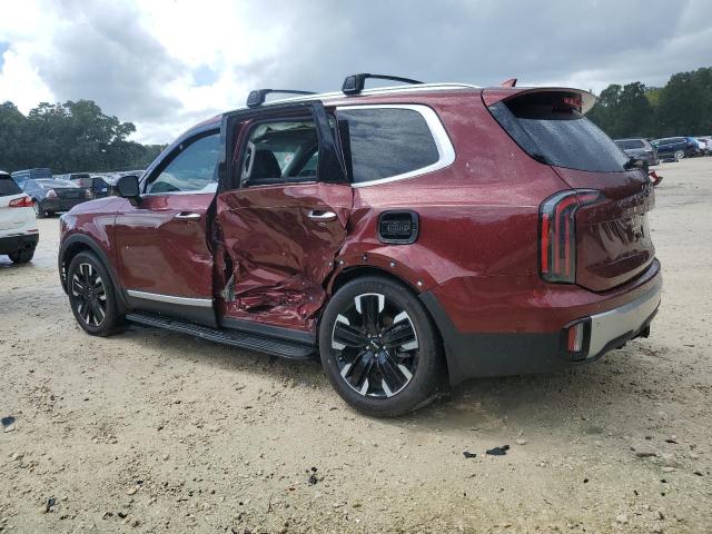 2024 KIA TELLURIDE 5XYP5DGC6RG493147