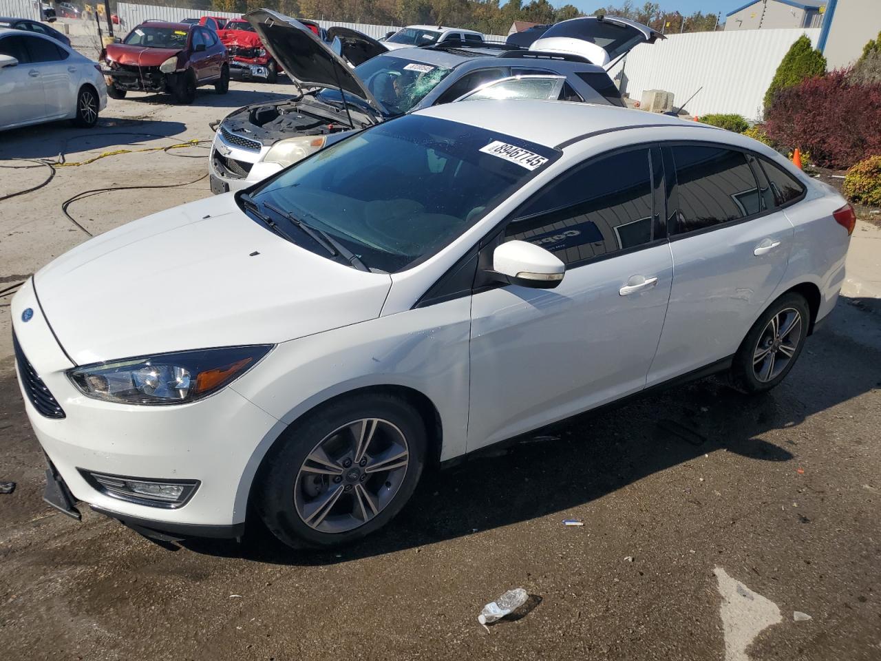 FORD FOCUS SE