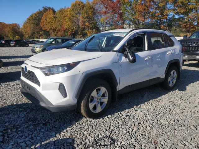 Global Auto Auctions: 2021 TOYOTA RAV4 LE