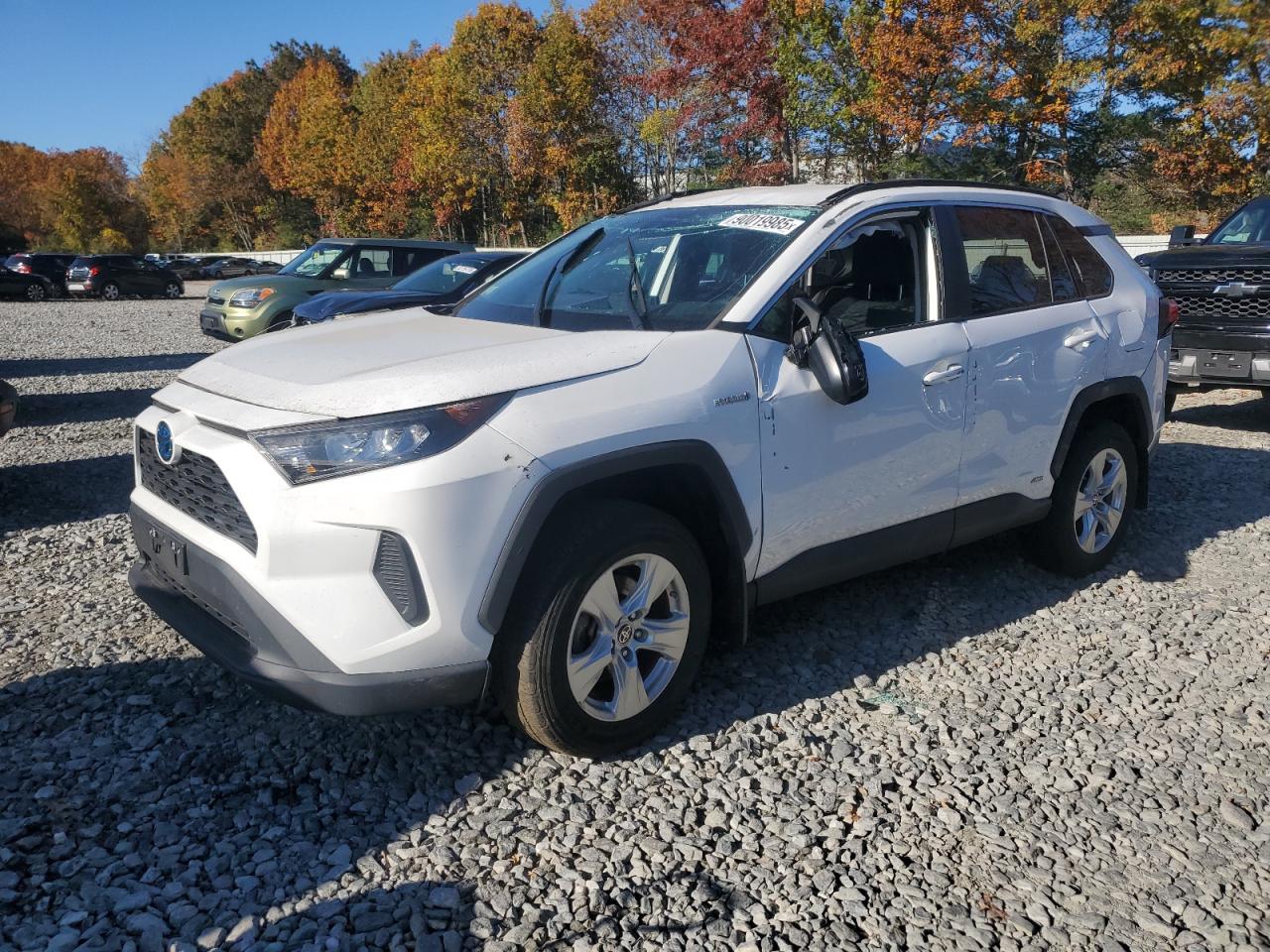 TOYOTA RAV4 LE