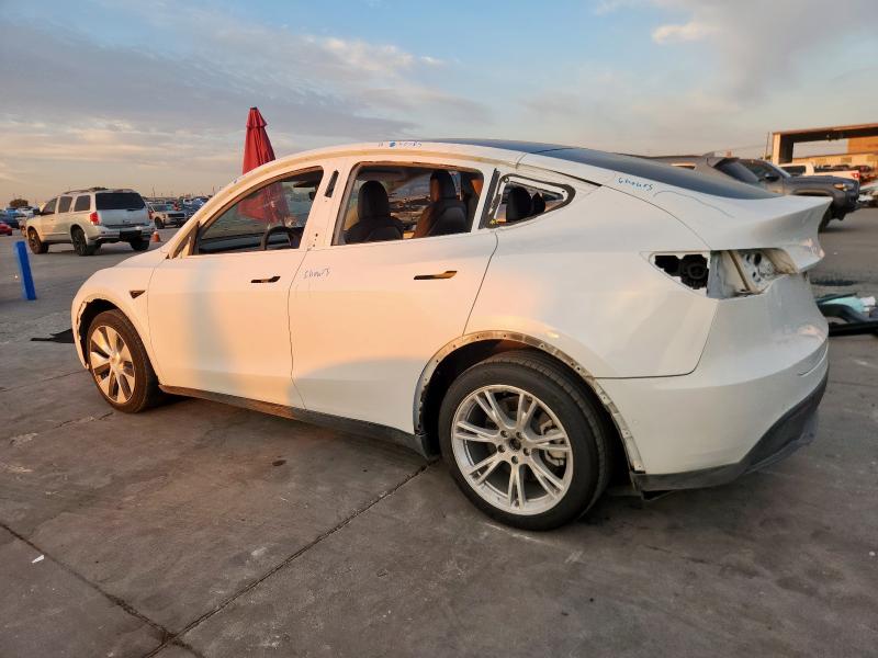 2021 TESLA MODEL Y #3285688660