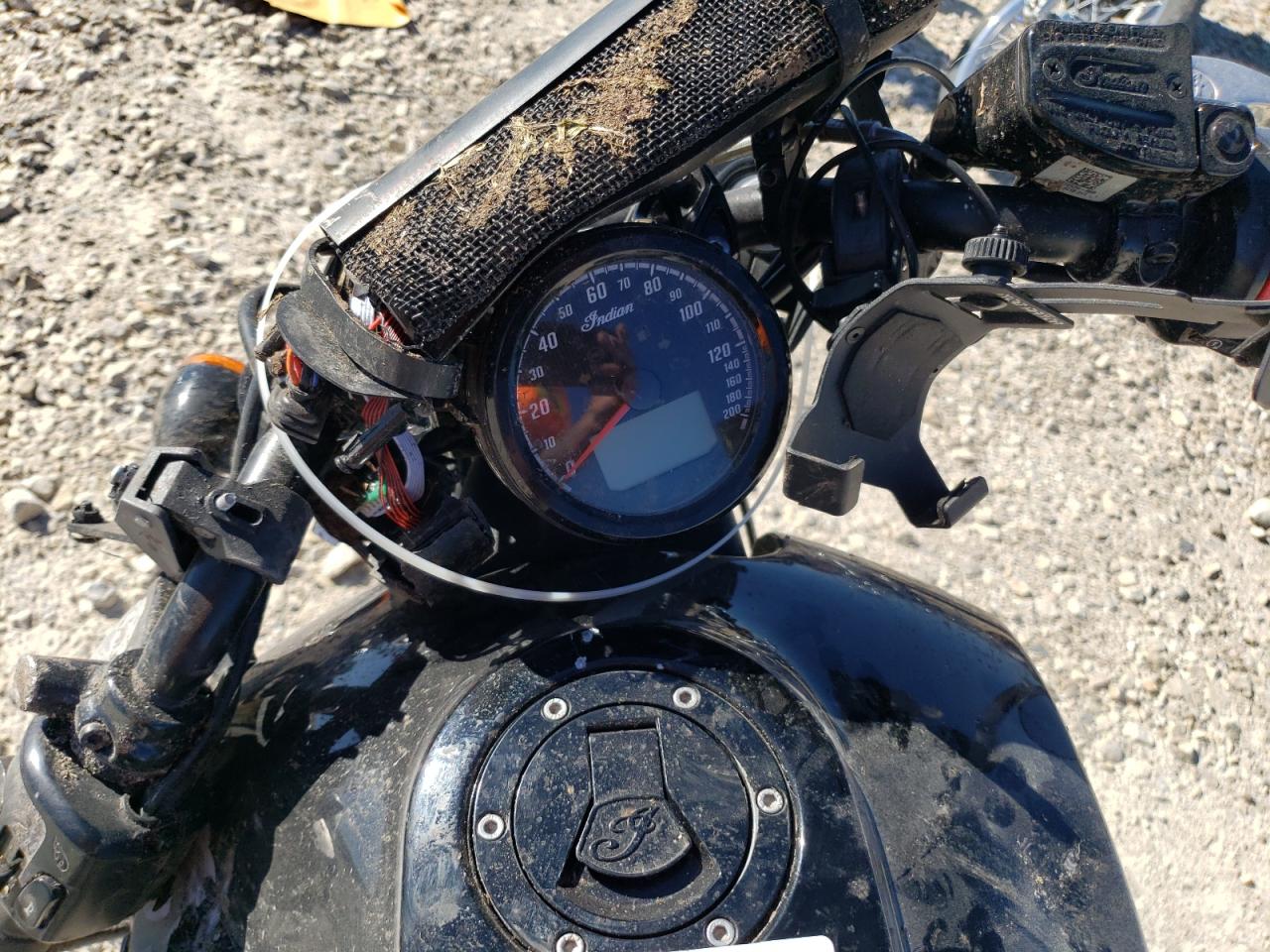 Lot #3298082156 2019 INDIAN MOTORCYCLE CO. SCOUT BOBBER