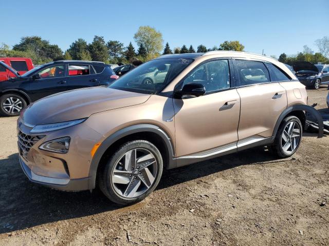 Global Auto Auctions: 2020 HYUNDAI NEXO LIMIT