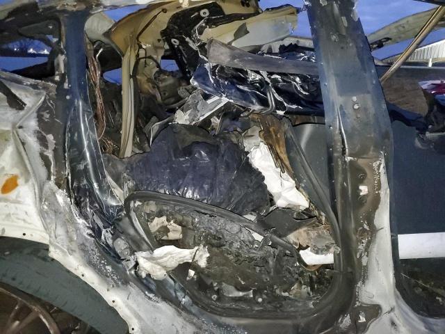 2024 TESLA MODEL Y #3312424632