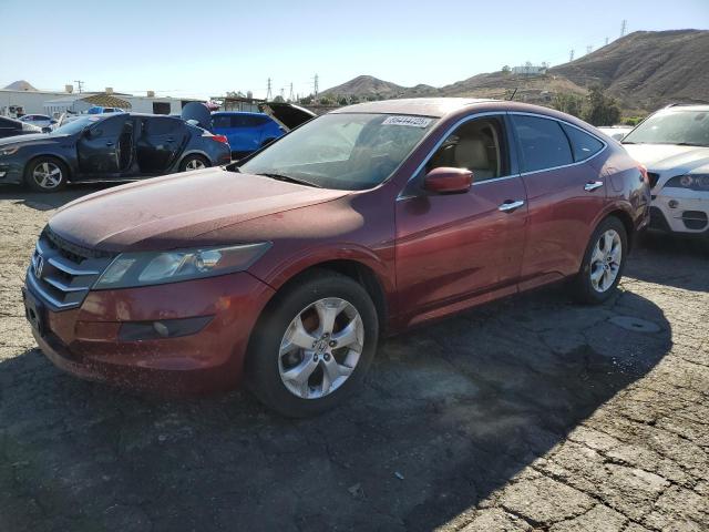 2010 HONDA ACCORD CRO - 5J6TF2H50AL008083