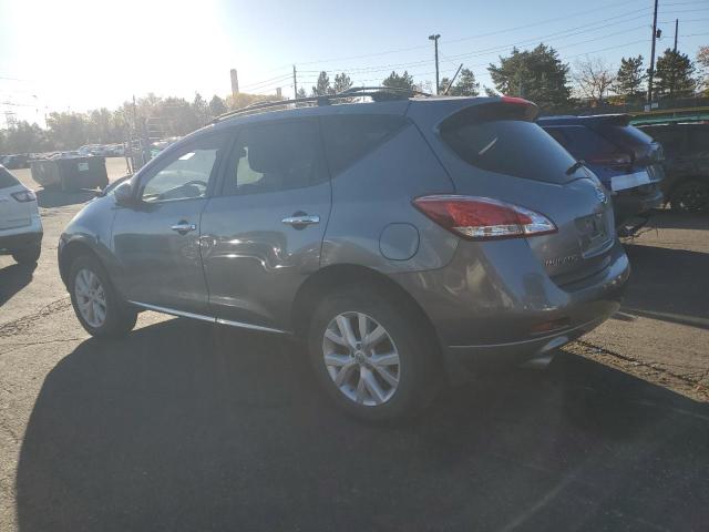 2013 NISSAN MURANO S - JN8AZ1MW8DW314324