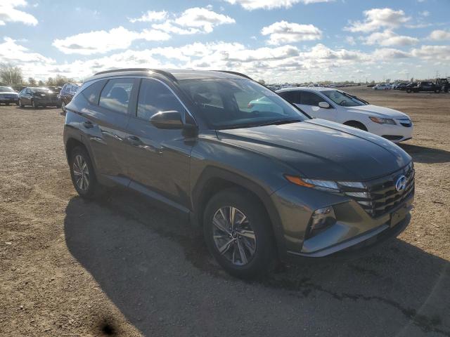 2022 HYUNDAI TUCSON BLU KM8JBCA19NU019990