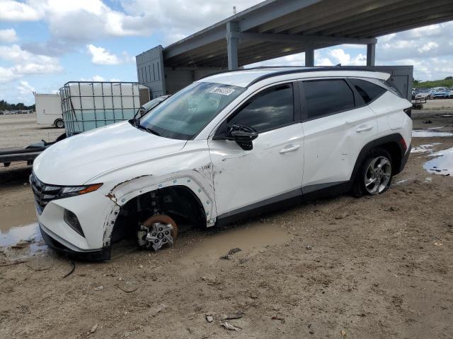 Global Auto Auctions: 2023 HYUNDAI TUCSON SEL