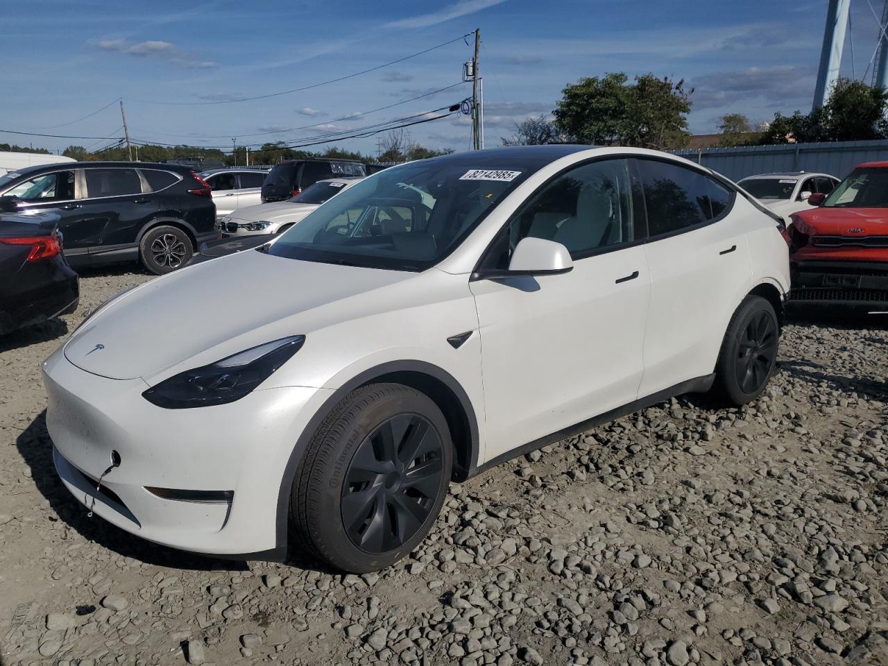 Lot #3302867917 2024 TESLA MODEL Y