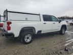 Lot #3303790420 2020 CHEVROLET SILVERADO