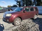 Lot #3293523416 2011 HONDA PILOT EX