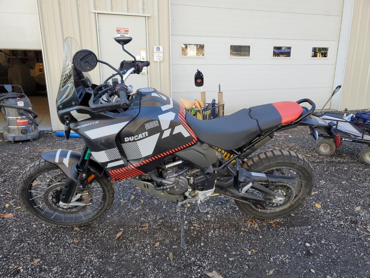 Lot #3291304451 2024 DUCATI DESERT X